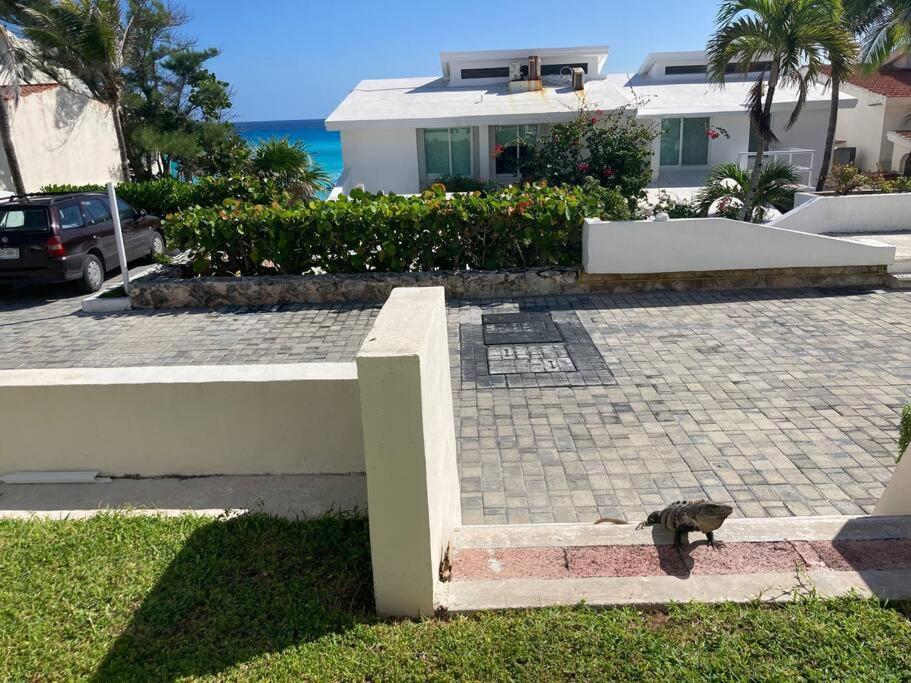 Cancun Oceanfront, Entire Apartment Exteriör bild